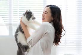 Mengenal Jenis-jenis Kucing Terunik di Dunia