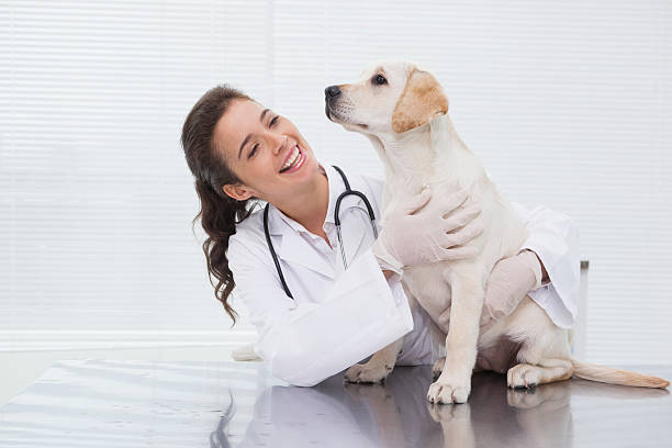 Pemeriksaan Kesehatan Tahunan untuk Hewan Peliharaan