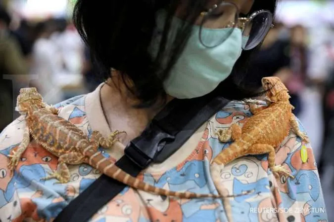 Seni Cara Merawat Hewan Reptil dengan Cermat
